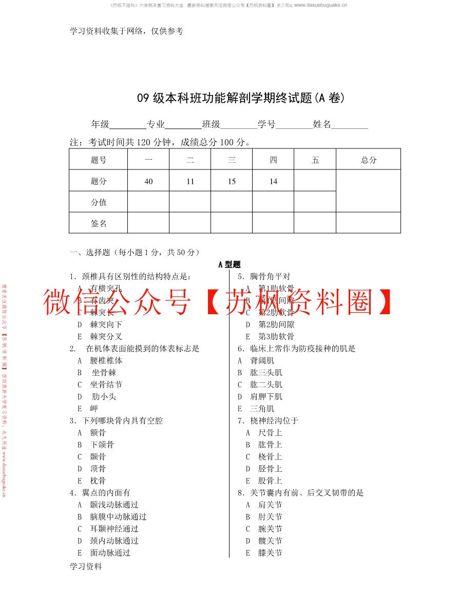 功能解剖学